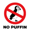 puffin